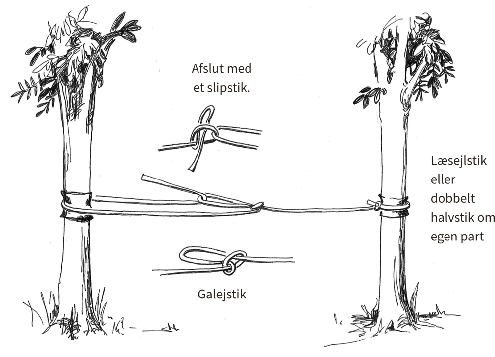 Barduner
